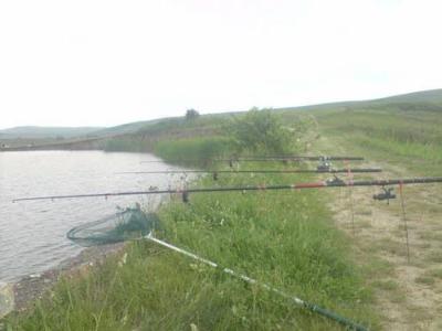 Mandra