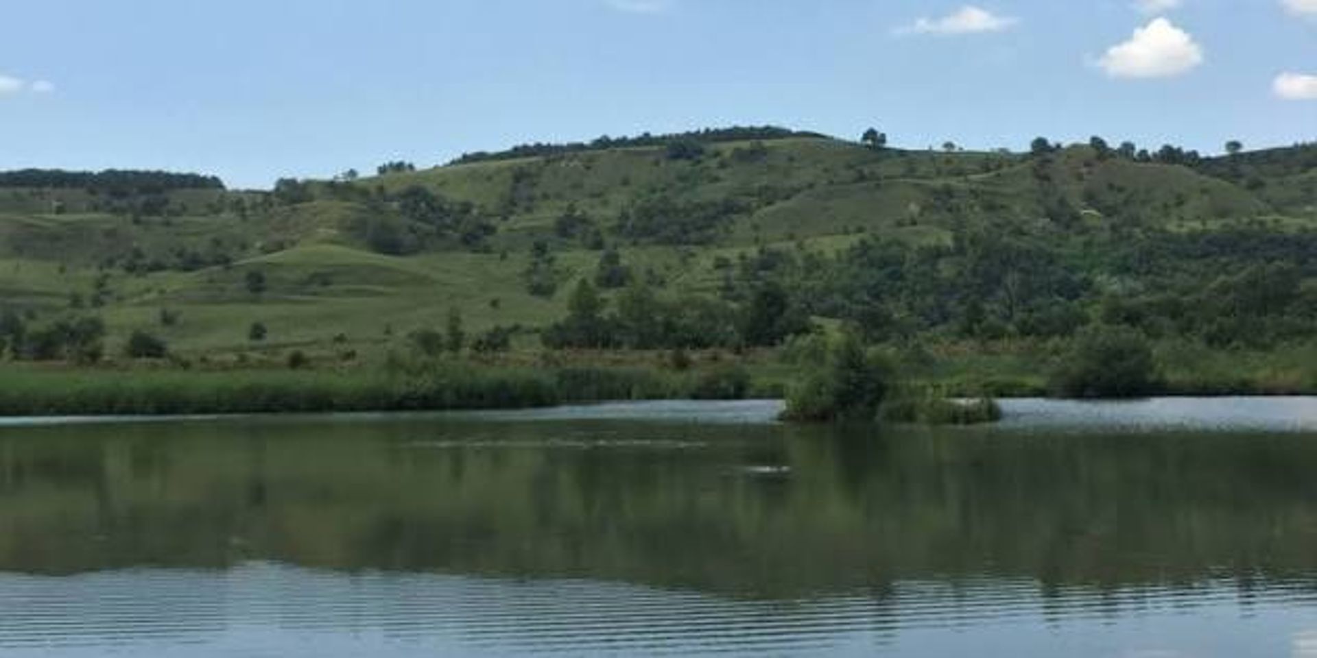 STIGMA FISHING — Poză principală