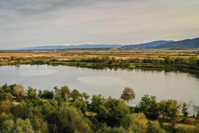 Lacul Orlat