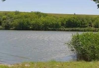 Balta MLX Danesti