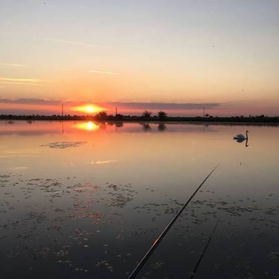 Lacul Ciupa — Poză principală