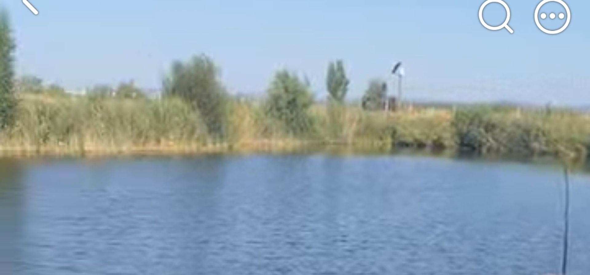Balta Ceorpelarilor — Poză principală
