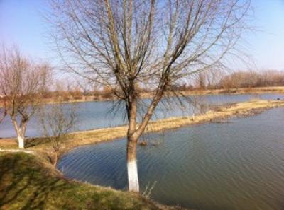 Balta Chisoda