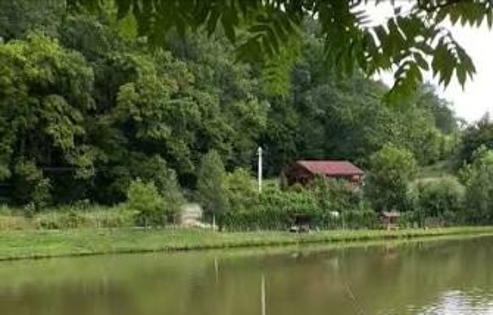 La Amurii Albi — Poză principală