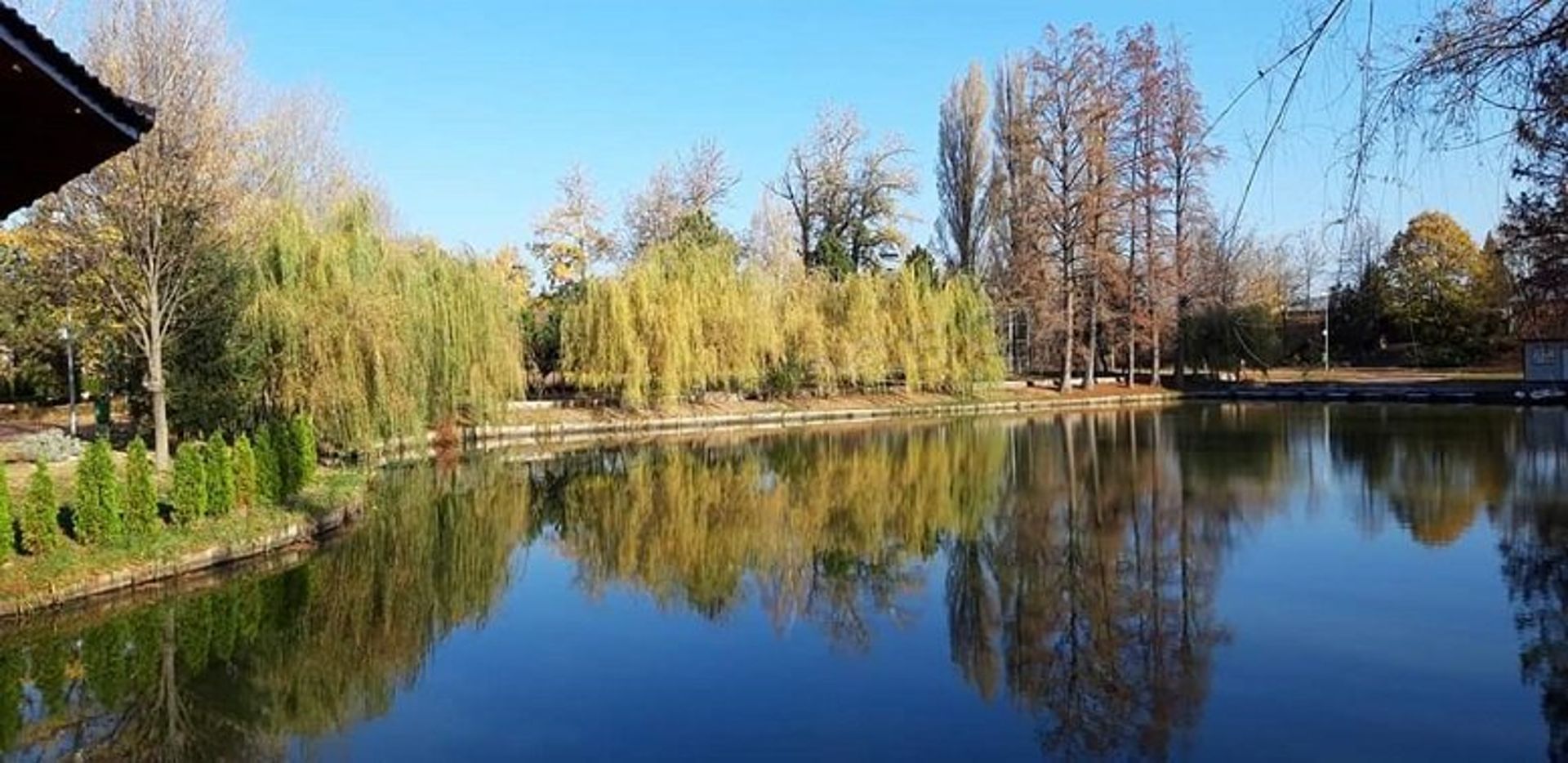 Reclamă